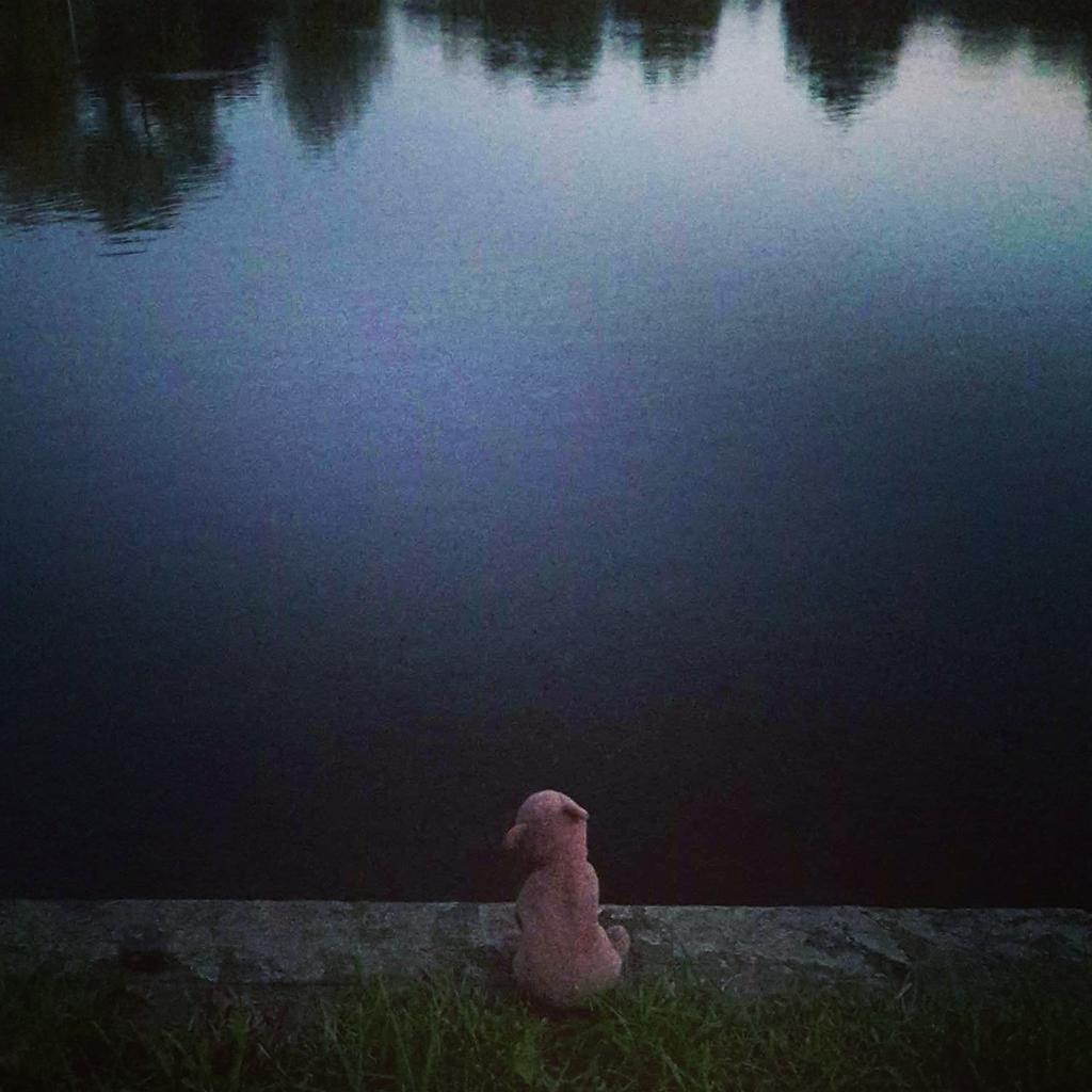 wallace_bear's tweet photo. #Potential : there are #ripples in the #lake and stripes in the #nightsky 🌱🍁 #WallaceTheLostBear #HampsteadHeath x http://t.co/RhVmegJSWv