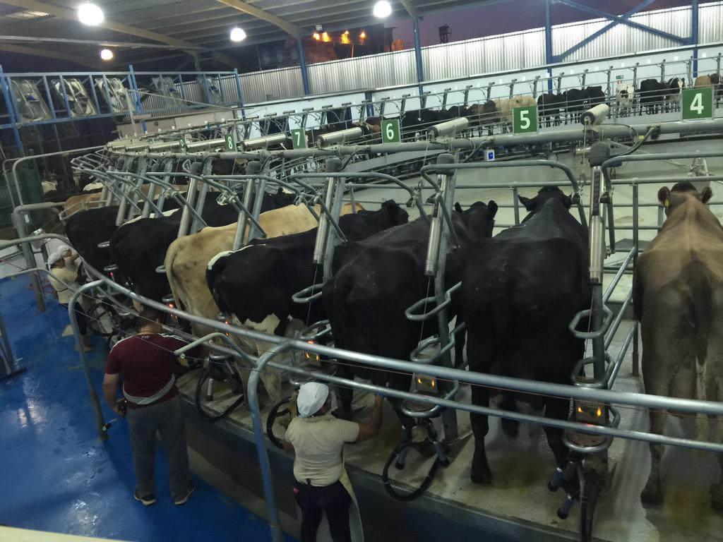 #ElTunal Una de la empresas agroindustriales más importantes de América Latina, es Larense #fundapymeVisitaTuEmpresa