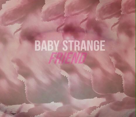 Punk Aristocrats tweet media