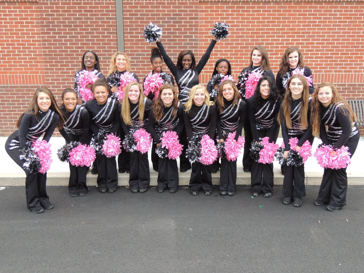 2015 Platinum Pom Pom Squad-Homecoming game