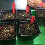 Ana Casanova tweet media