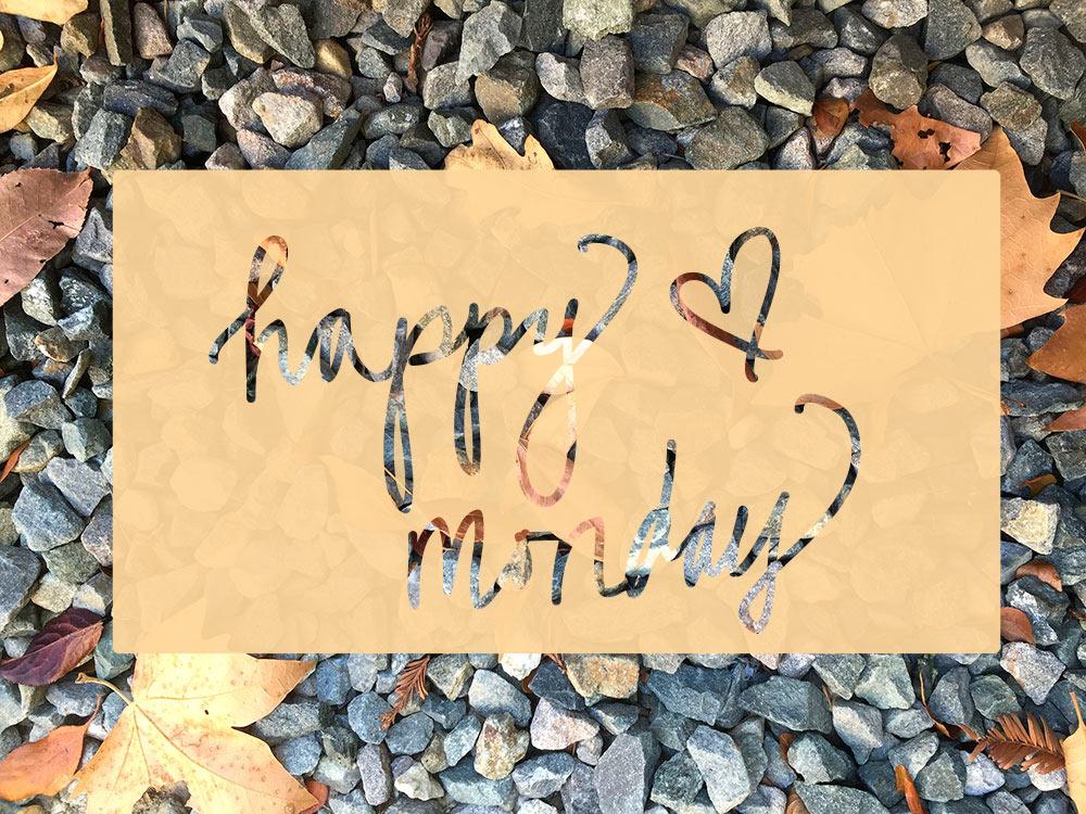 TradingBoxes's tweet image. Makeup and Beauty Blog Monday Poll, Vol. 344 vytm.in/ZcSnyA