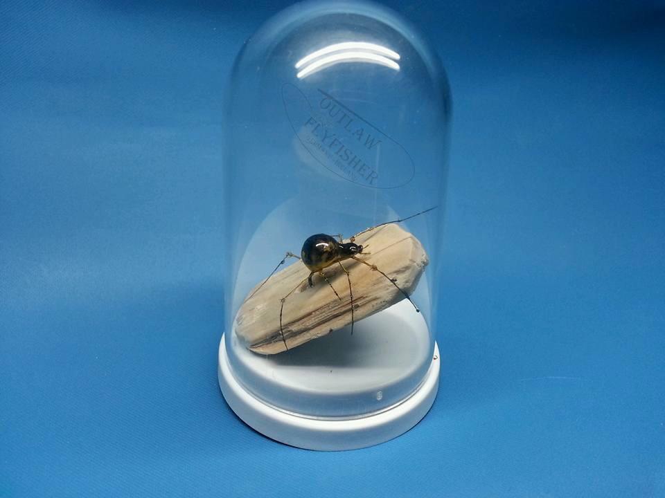 semperfli's tweet image. Pro Tyer Outlaw Flyfisher has been doing magic with nano silk! Stunning!