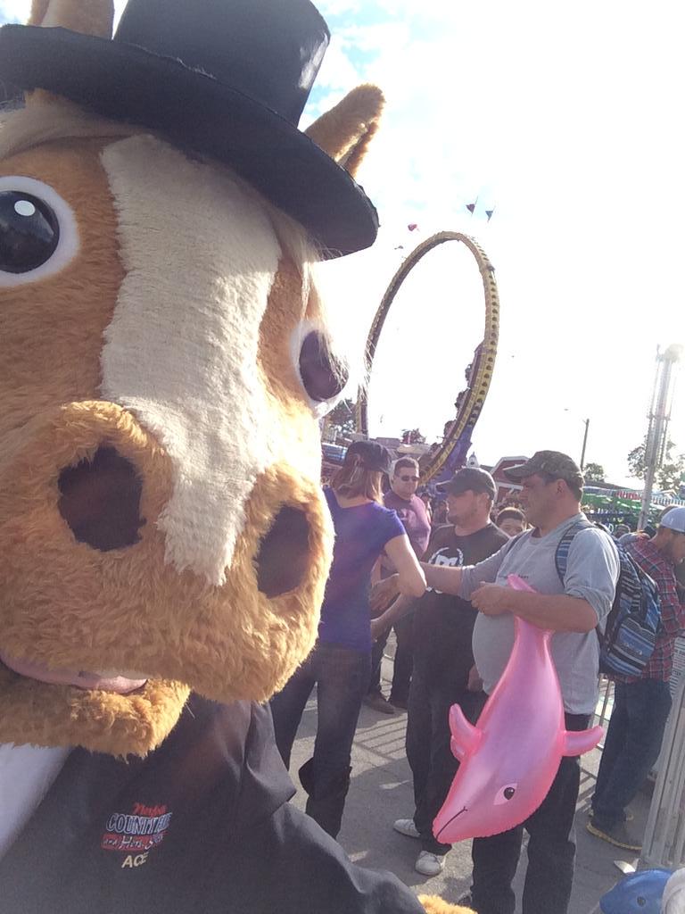 ACEthehorseNCF's tweet photo. I could really use a selfie stick so I can get my whole head in my selfies! #norfolkselfie #NCF175 @NorfolkTour http://t.co/R1t59I5XEo