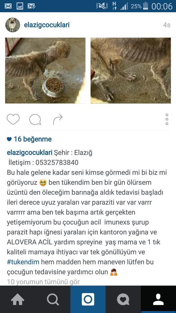 Lütfen bitmiş durumda yardıma ihtiyacı var @dundaragirseven  @sahipszpatiler <a href="/Hayvist1/">HAYVİST</a>  @EsRart4 <a href="/yrdmet/">Sokak Hayvanları</a>