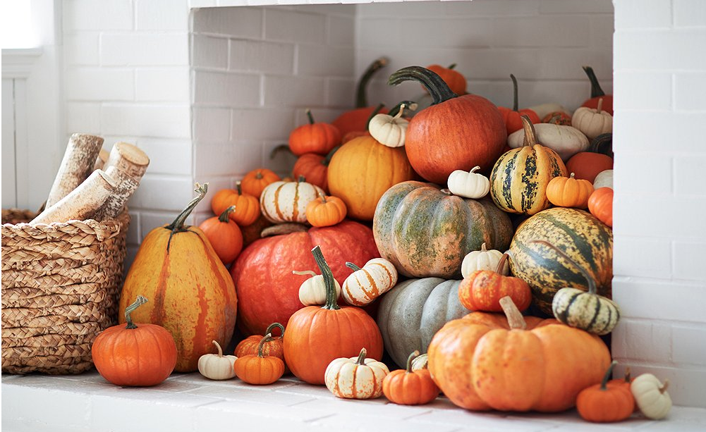 onekingslane's tweet photo. Bring the pumpkin patch indoors! Check out more halloween ideas over on our blog: 
http://t.co/EfQojTm0ND http://t.co/OPfQBGyoCI