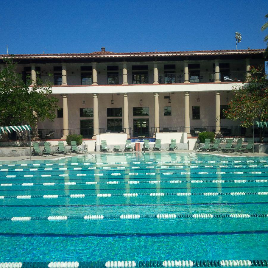 ColeHenri's tweet image. Swimming is like writing.  It touches every part of your being.