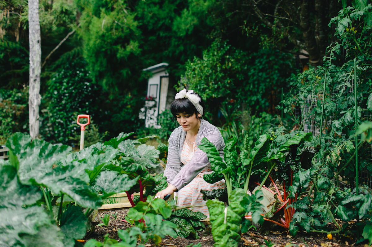 dishmagnz's tweet photo. Unna Burch is a self-taught cook and photographer who's just released a gorgeous cookbook: http://t.co/G7FVAL5HGr http://t.co/bfaRf32ZqV