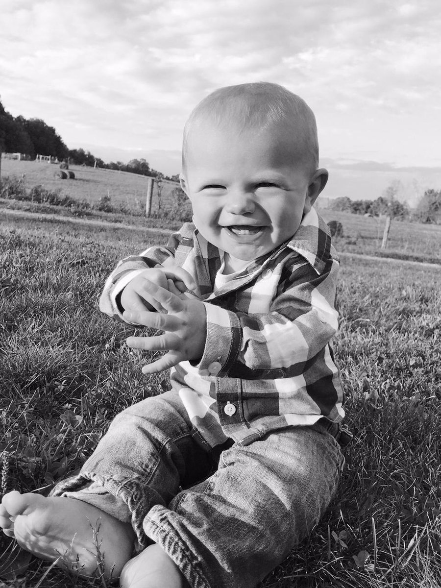 hank at eight months. …mplyeverythingbeautiful.wordpress.com/2015/10/12/han…