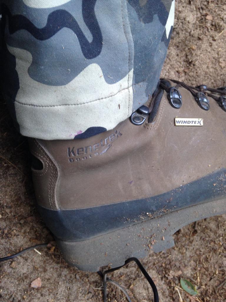 Dalton Prosser tweet media