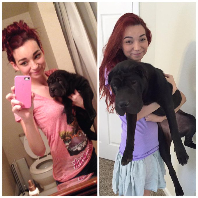 The difference a year can make. He'll always be my baby ❤️🐕 http://t.co/HpimwYsHcr<a href="/tag/btsatrosebowl"class="tags"><span>#btsatrosebowl</span></a>