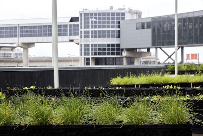 There is now a farm at JFK airport vytm.in/IcZ_DQ #health