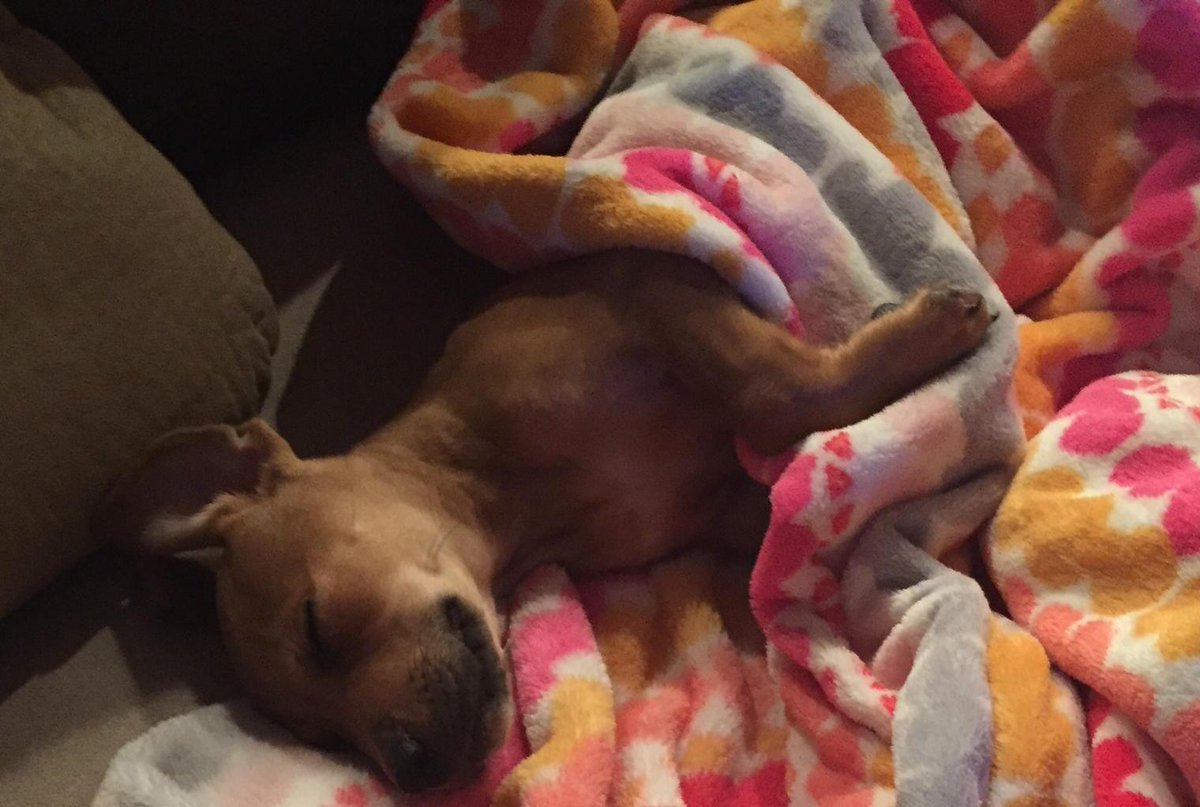 Newest addition to our family!