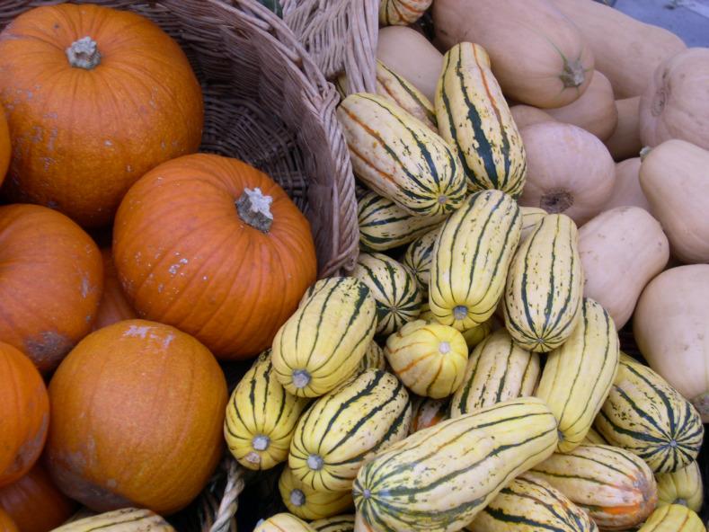 GenTwenty.com tweet media