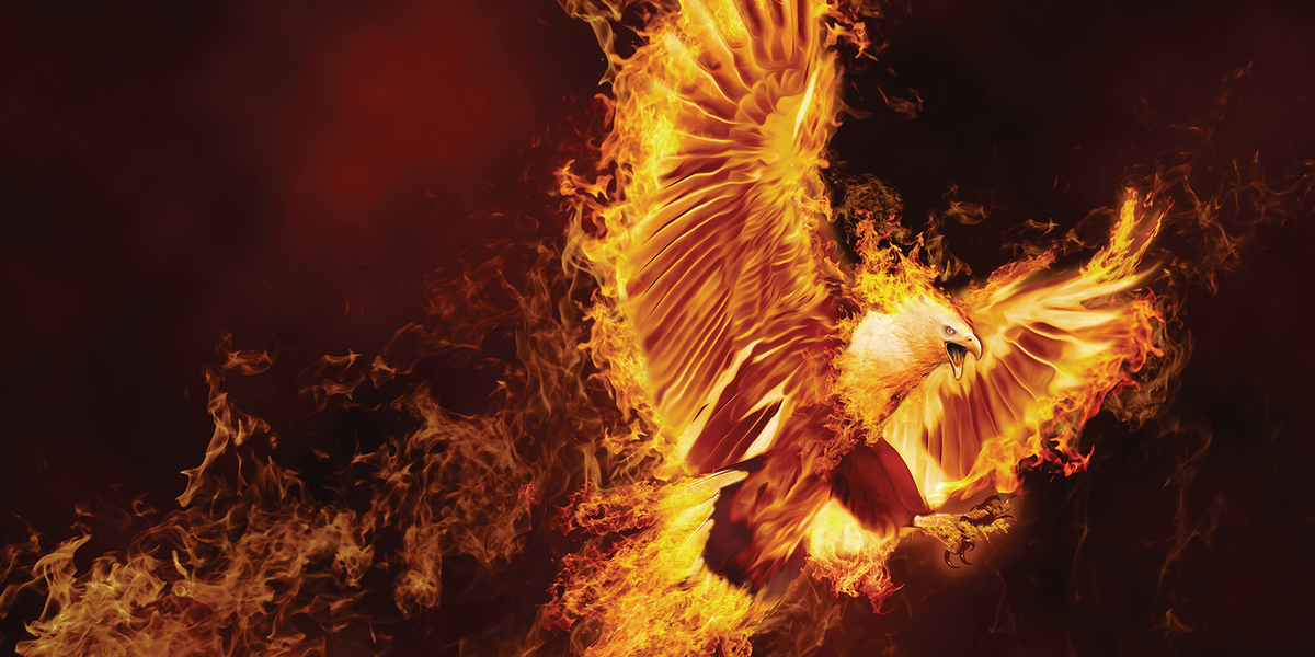 PshopCreative's tweet photo. Create a flaming bird with this tutorial!

http://t.co/LT1xATIRIP http://t.co/3mVe39RHaW