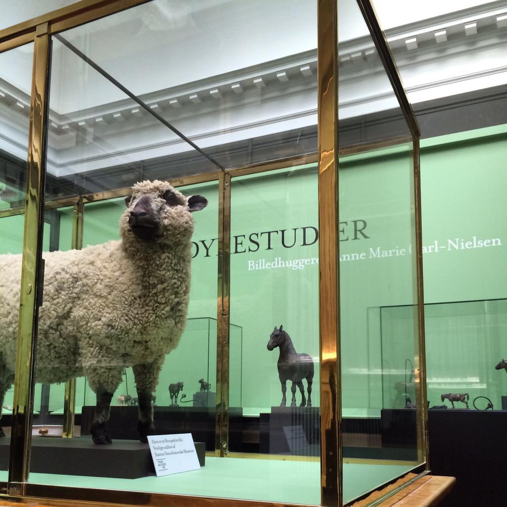 På Hirschsprung kan man studere dyr #annemariecarlnielsen #dyrestudier