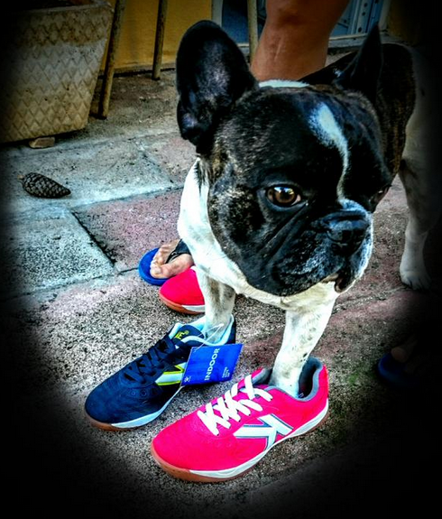 Kelmesports's tweet photo. La foto del día
Gracias @volcomtato por compartirla con nosotros ;) http://t.co/sa3SuJHmZv