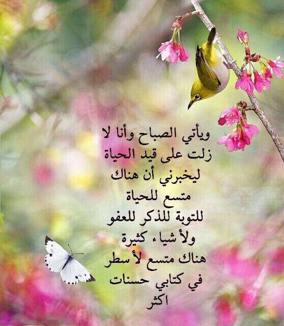 Fadia qaddour (@gfdtrhg) on Twitter photo 