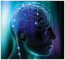Luv_Doc1's tweet photo. The brain is an often-overlooked erogenous zone. Sexual excitement starts in your head &amp; works its way down http://t.co/2Vdq9D1Vuc