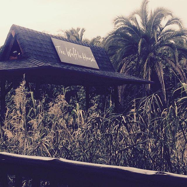 WaffleHouseZA's tweet photo. We just love our bridge @anneristrauss #sharedoninstagram http://t.co/fhwv9XhNcE