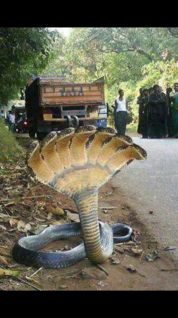 Ali59Eng's tweet image. 