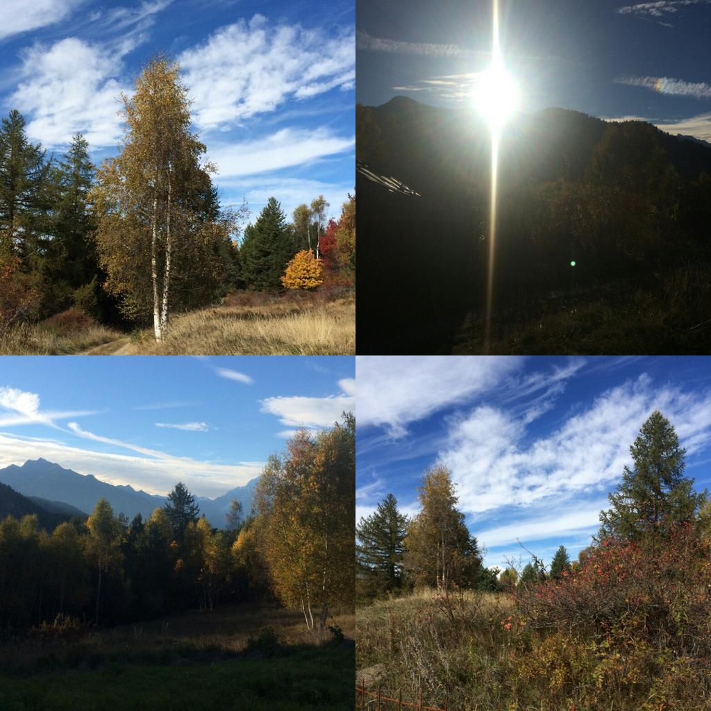 BorneyRenzo's tweet photo. #bellagionata#Poignon#Aymavilles# http://t.co/UEvDq7xNKm