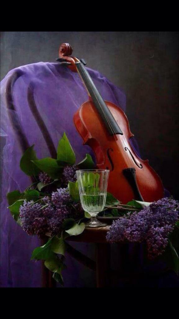 ramyaraf's tweet photo. @motmrrdh إذا تعبتي استرخي مع قليل من الموسيقى http://t.co/eqUg79TNxA
