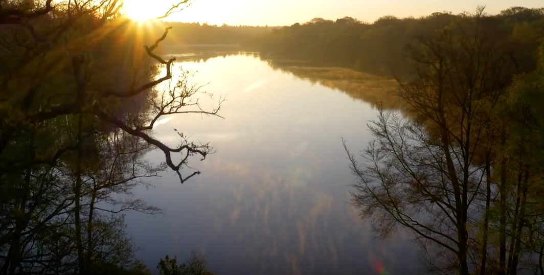 We are very lucky people to have this on our doorstep...
#Lake #Gardens #Windsor #Drone 
youtube.com/watch?v=S5k5E-…