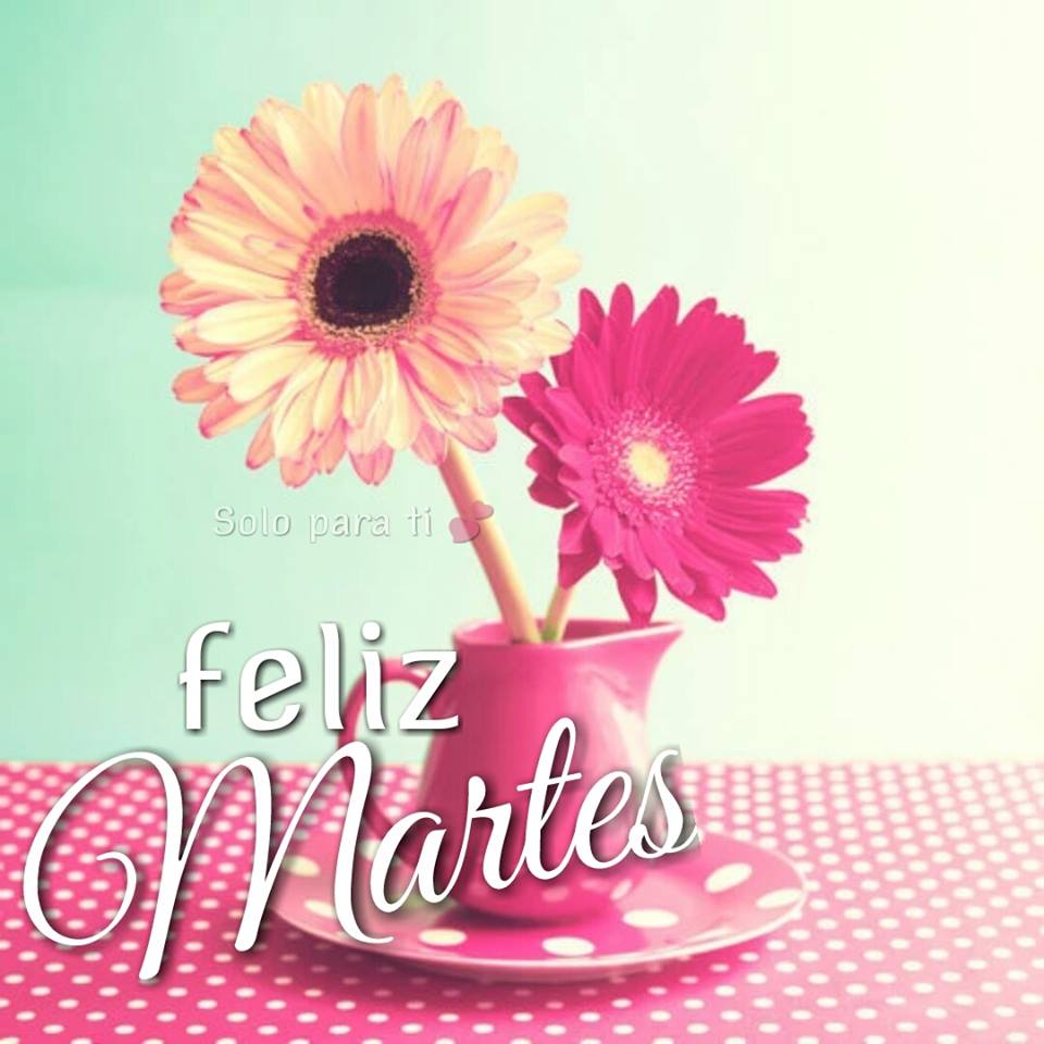 Arch English Ourense Pa Twitter Desde Arch English Os Deseamos Un Feliz Martes Http T Co 1pdqwcpxri