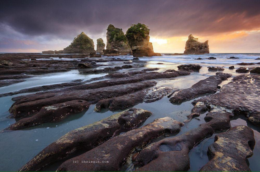 Motukiekie, west coast , New Zealand. #NZMustDo <a href="/PureNewZealand/">New Zealand 🇳🇿</a>