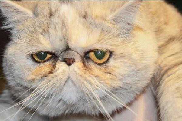 pgsearch's tweet image. When you wake up and think it's Friday...but it's only Tuesday #wrongday #gutted