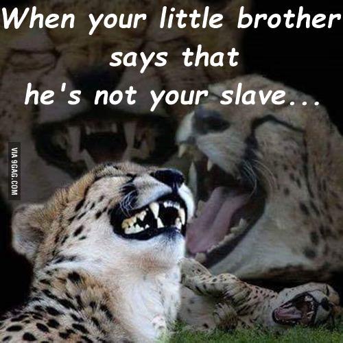 It's fun having a little bro. 
9gag.com/gag/a1YOPG6?re…