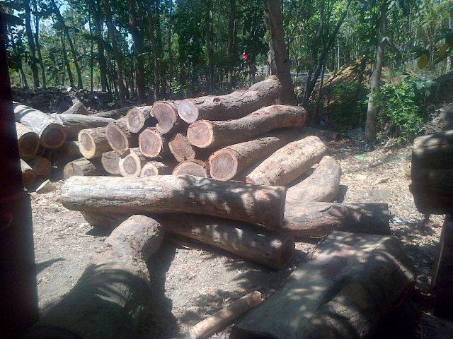 PraptoJogja's tweet photo. @andikjameela met siang,iya boss.. http://t.co/PJ6Z4HR7es