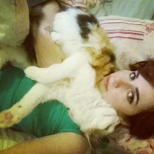 itsbabygodzilla's tweet photo. @harveynormanIE #SleepPink #HNBedhead my cat wanted to join in too ☺☺☺ http://t.co/7Vat4KkVC9