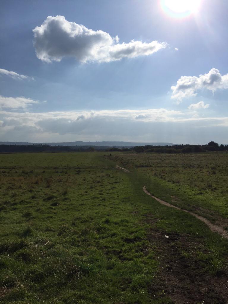 SPHlearning's tweet image. Thank you to Jessica from @RSPB_Learning for our field trip today. Great day had by all #yearoffieldwork