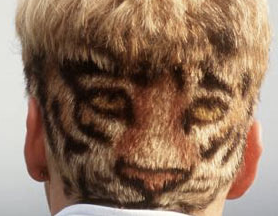 #TIGER #SCPaderborn auf gehts Effe! Aber zunächst mal mit dem Fahrrad zum Training, oder?