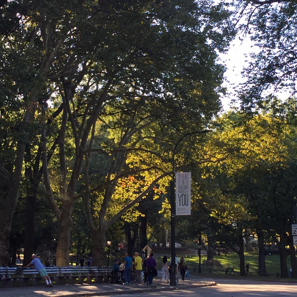 Sunday_Supper's tweet photo. Perfect fall morning. #autumnvibes #centralpark http://t.co/XjDMRwOd9T