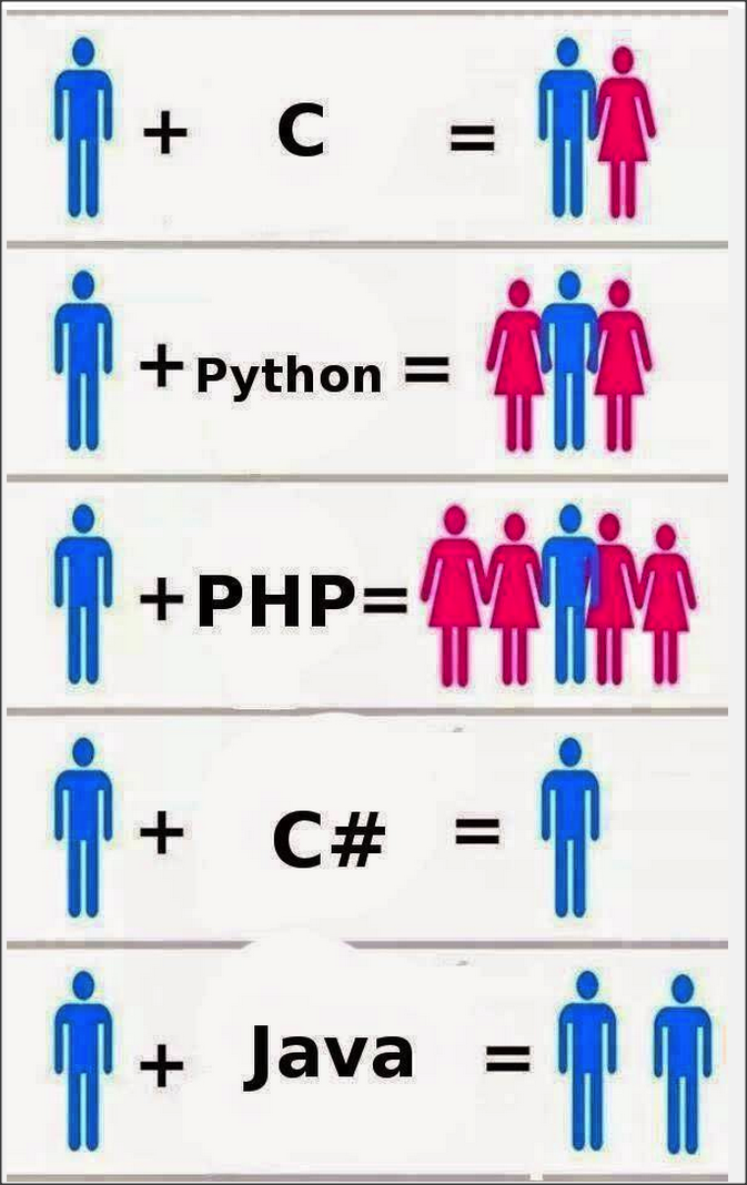 programming language