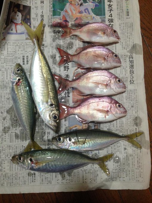 高知県の釣り場情報 室戸岬漁港 手結港 野見潮ばかり公園