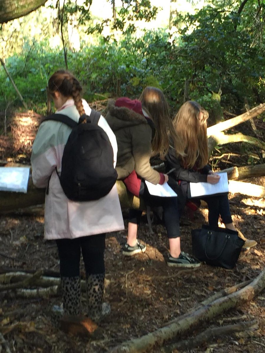 SPHlearning's tweet image. Year 9 busy on completing their fieldwork with @RSPB_Learning
