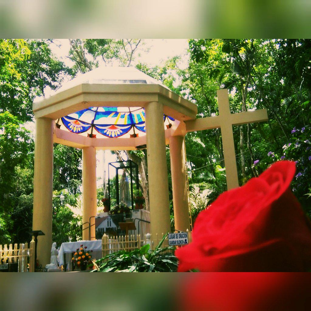 By__Martinez's tweet photo. 💕🌹⛪ http://t.co/dCbntYw0gt