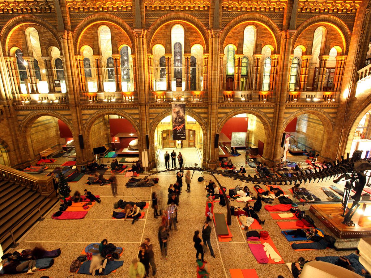 Sleepover <a href="/NHM_London/">Natural History Museum</a> next week with dinner &amp; late night bar. Sounds awesome! #London #events #Dinosaur #latenight