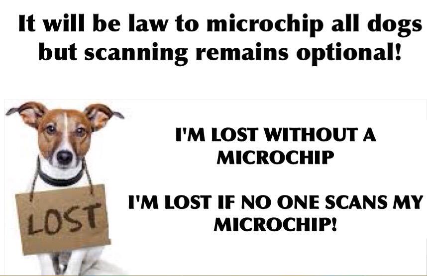 MakeChipsCount to Reunite Pets tweet media