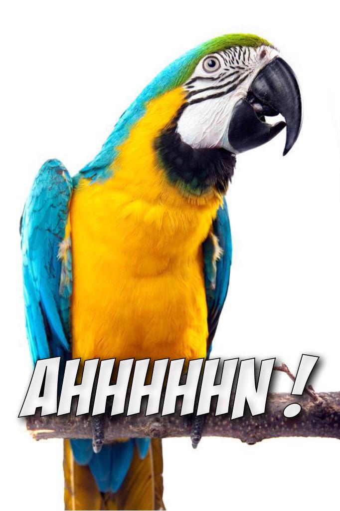 TheRealLiont's tweet image. @TZON57