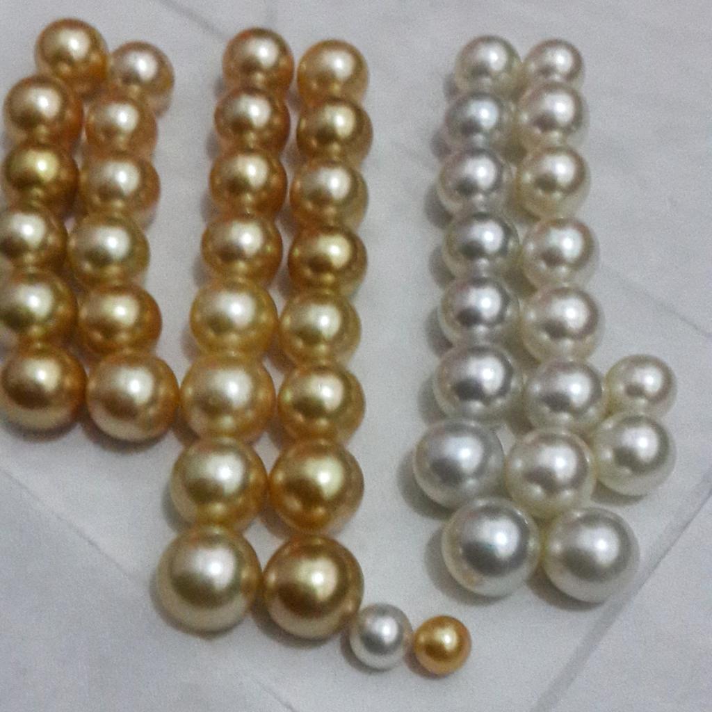 rodhy_scrab's tweet image. south sea pearl size 14 -16 mm from indonesia