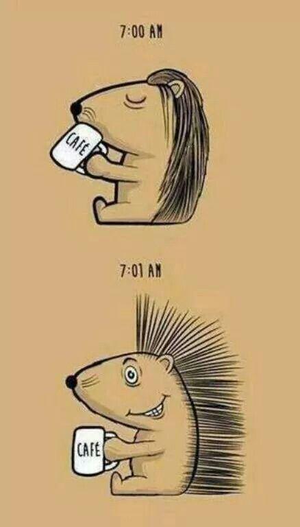 LaHigueraUP's tweet photo. Buenos Días #soyUP #actitudUP http://t.co/4kWIjvD1JB