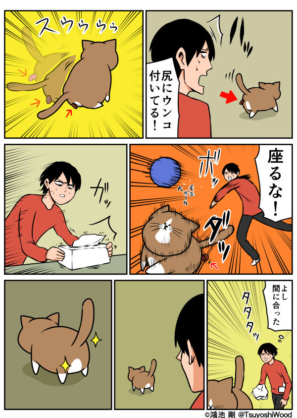 猫のぽんたを飼い始めたら人生が好転した 75万フォロワーの漫画家 鴻池剛が明かす半生 イーアイデムの地元メディア ジモコロ