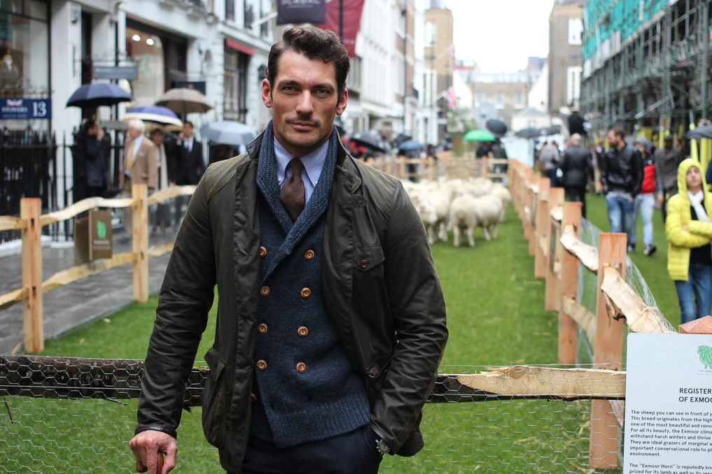 countryandtown's tweet photo. David Gandy experienced a different kind of style #SheepontheRow #WoolWeek @campaignforwool http://t.co/oYwTZC9hhp http://t.co/pXPFJMr9ko