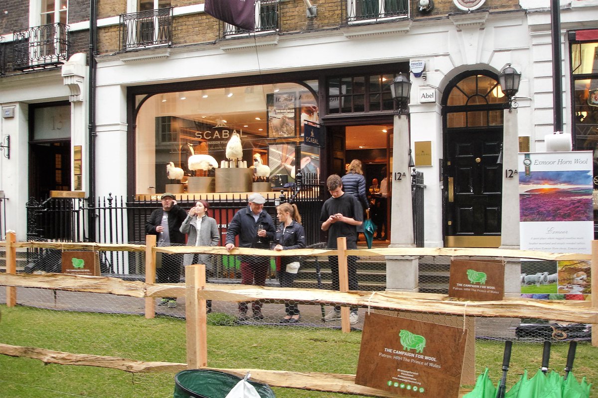 jrprescott's tweet photo. #sheepontherow #woolweek memories @campaignforwool #Scabal http://t.co/TxThij1nqX