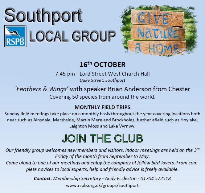 Join the Southport Local RSPB meet Fri 16th Oct - 'Feathers &amp; Wings' #southport <a href="/InsideSouthport/">Inside Southport</a> @radiosouthport
